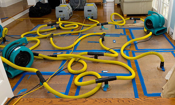 Professional Basement Flood Cleanup technician working in Babson Park, MA